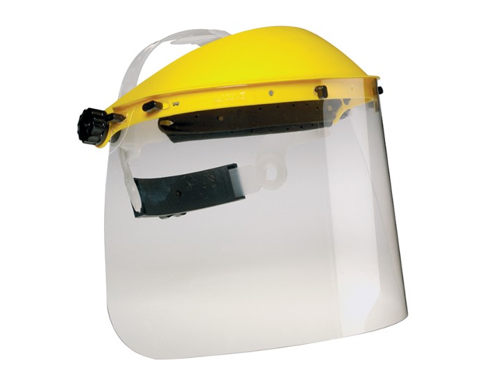 Scan Standard Face Shield & Visor