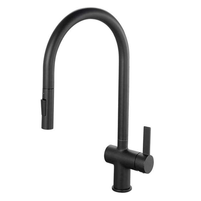 Madrid Pullout Kitchen Rinser Tap-Matte Black