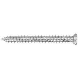 Rawlplug Concrete Screw 102mm