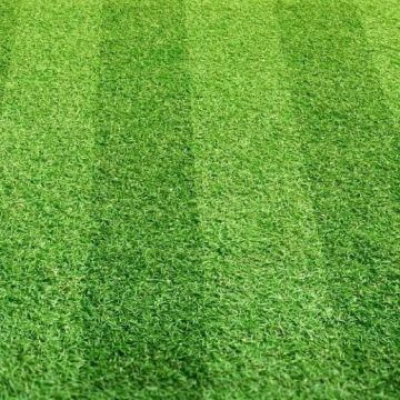 Greenfx Artificial Grass 30mm x 2m x 25m (50m2) powers Court Stripe
