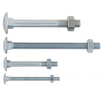 Cup Square Bolt & Nut 10 x 180