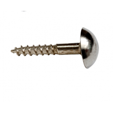 Mirror Screw Chrome 1" (6)