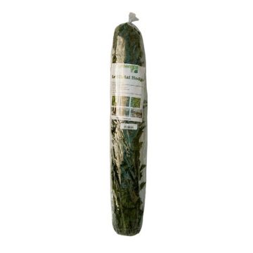 Grnfx Artificial Hedge 1 x 3m Amazon comes with Cable Tie