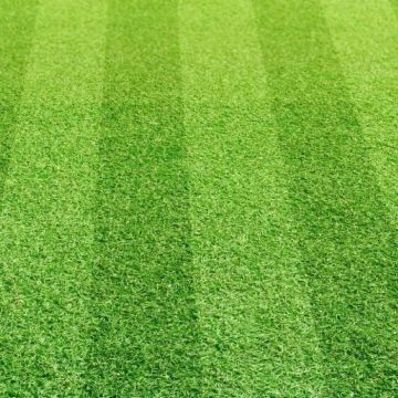 Greenfx Artificial Grass 30mm x 2m x 25m (50m2) Powerscourt Stripe
