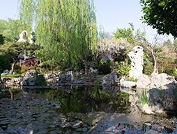 10 Incredibly Strange Gardens from Around the World