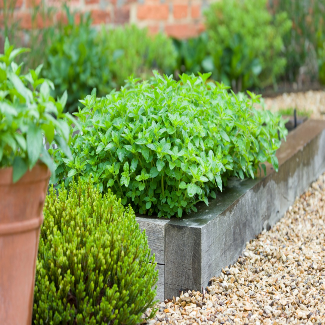 Enhance Your Garden with Garden Sleepers & Shiplap Panels | Chadwicks.ie Guide